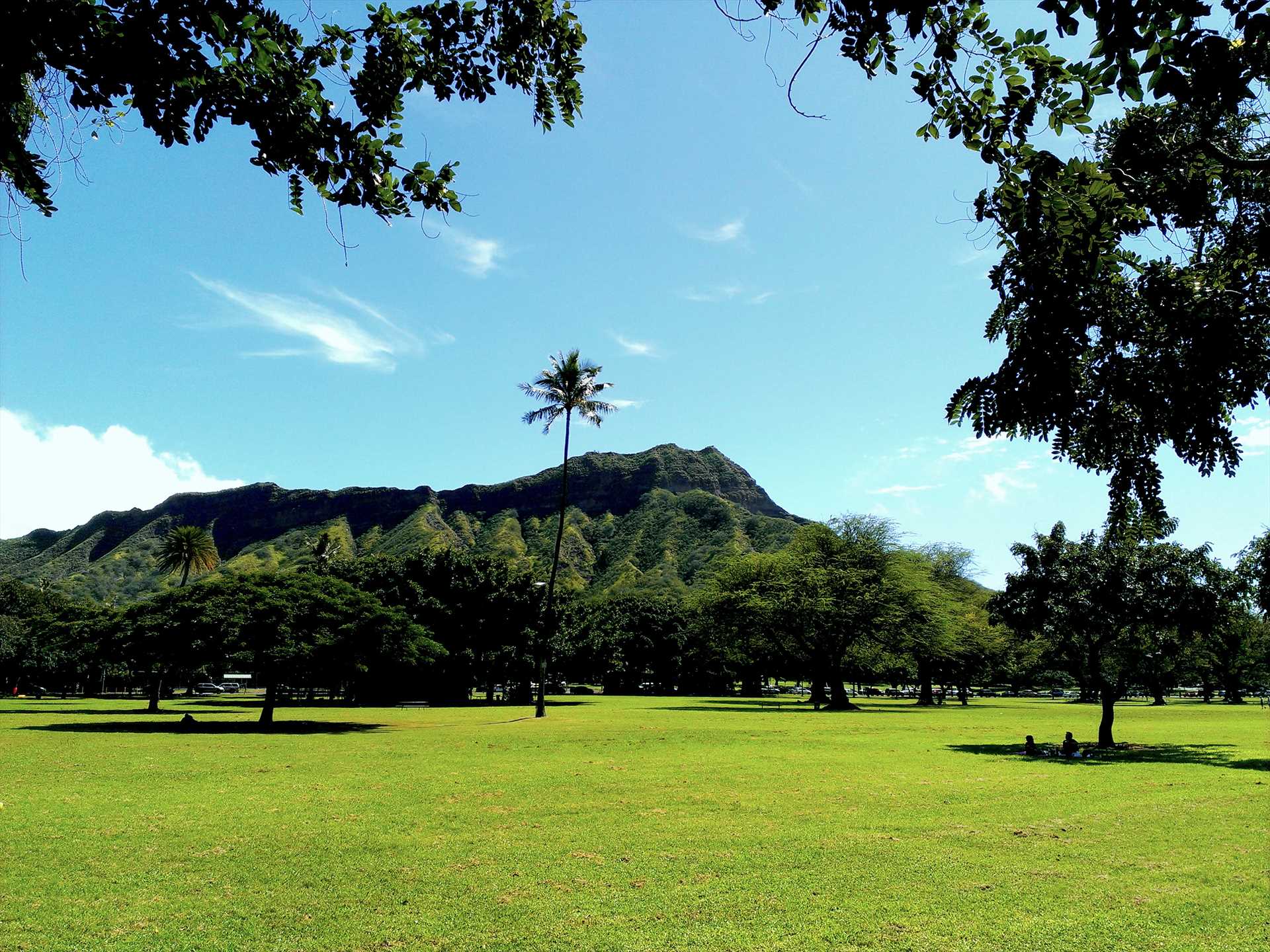 Stroll through Kapiolani Park on your way to Diamond Head