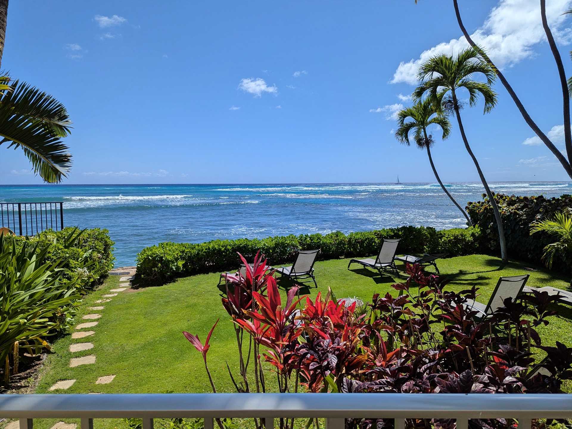 Garden area at Diamond Head Beach Hotel